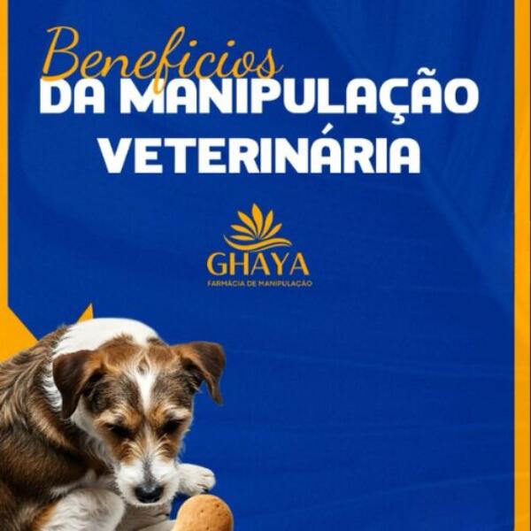 veterinaria